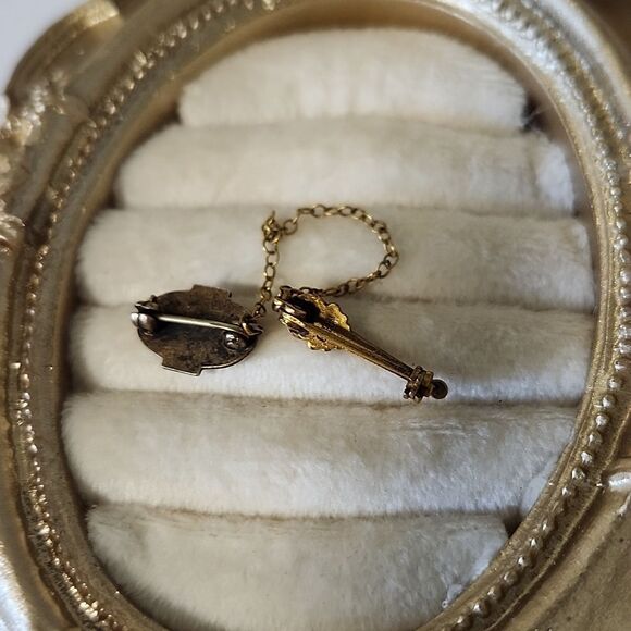 Beta Sigma Phi with Torch Vintage Lapel Pin/Tie Tack fraternity pledge - Picture 3 of 3